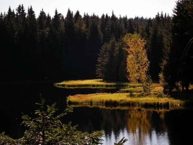 herbststimmung am vogtlandsee.jpg